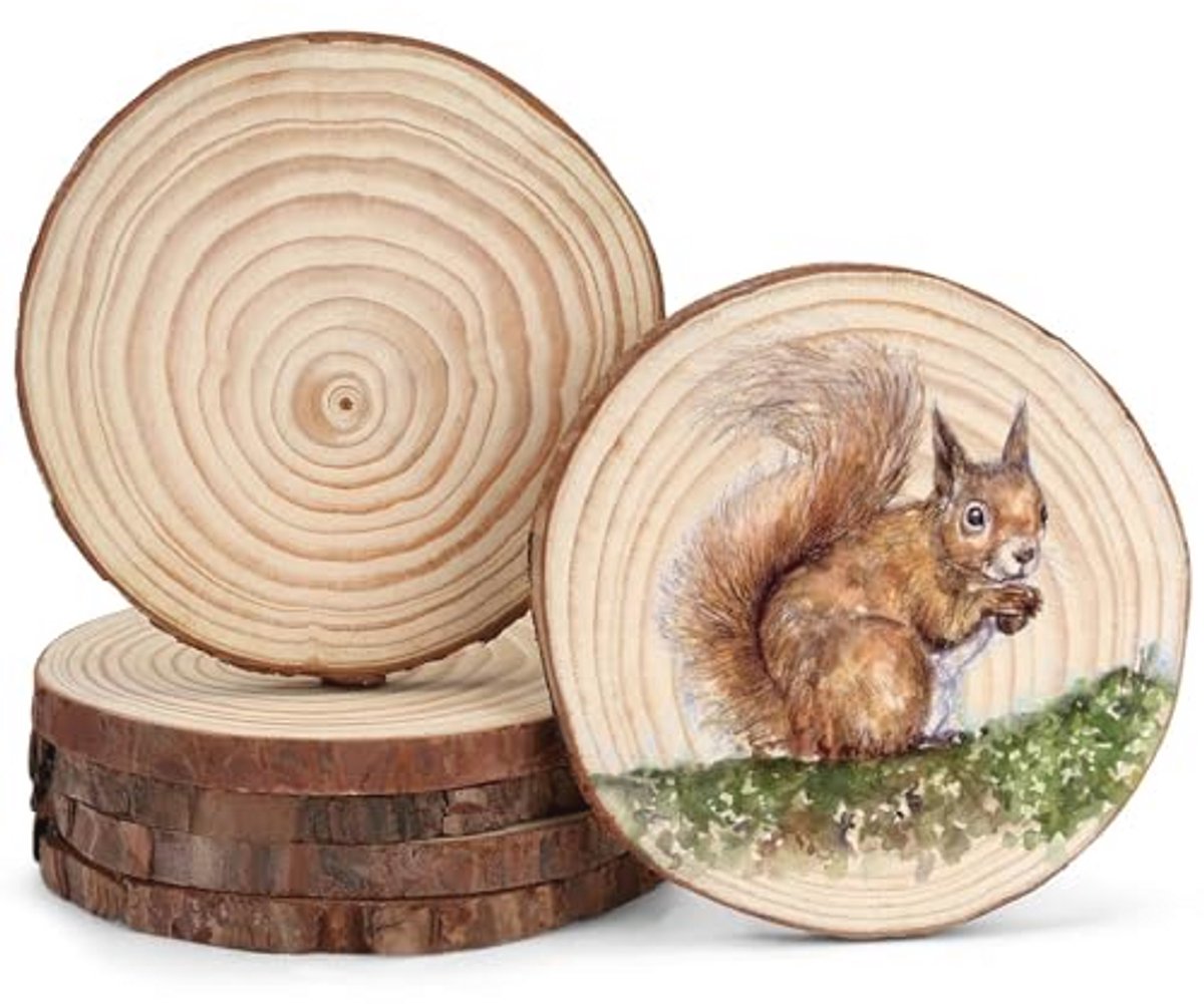 Houten schijven voor knutselen - Set van 6 natuurvriendelijke decoraties (12-13 cm)