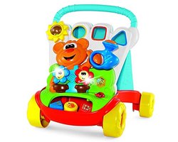 Loop- en Irrigatiehulp met Activiteitenpaneel voor Baby's - 2-in-1 Walker