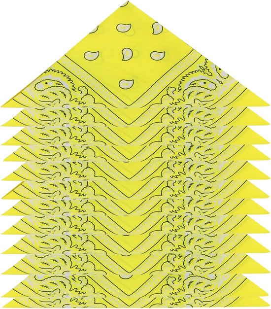 BUYGOO Bandana Sjaal 20 stuks kleurrijke Paisley Bandanas Bandana's multifunctionele hoofdsjaals uniseks halsdoeken grote zakdoeken diverse kleuren vierkante bandana's voor heren en dames (55 x 55 cm), Kleurrijk, L