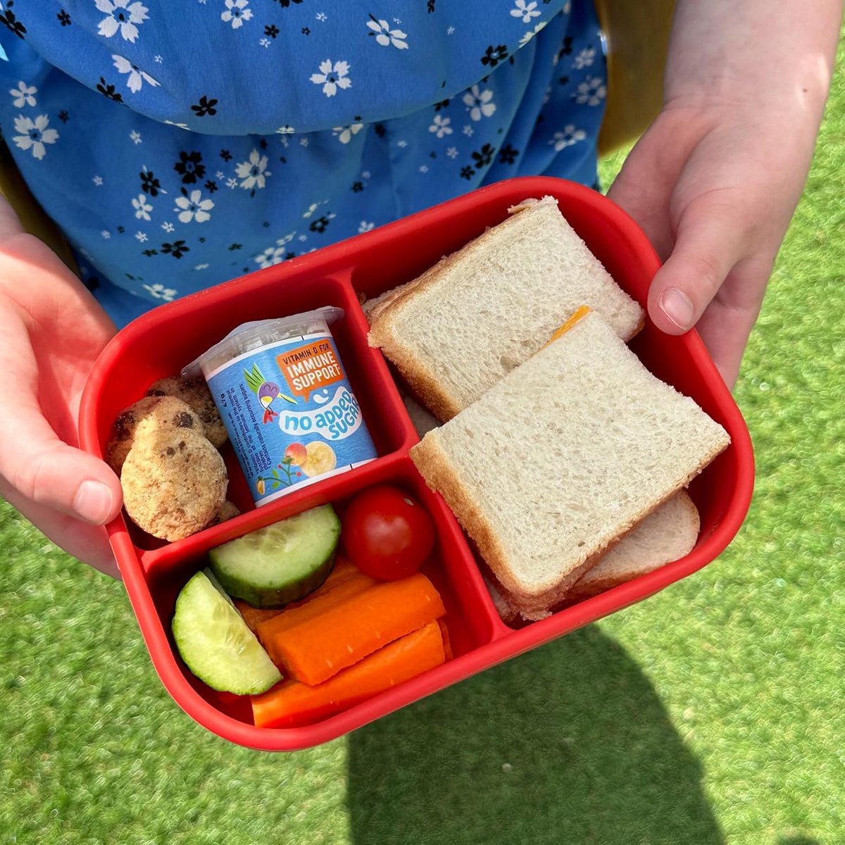 Broodtrommel voor Kinderen met 3 Vakken - Lekvrije en Valbestendige Lunchbox