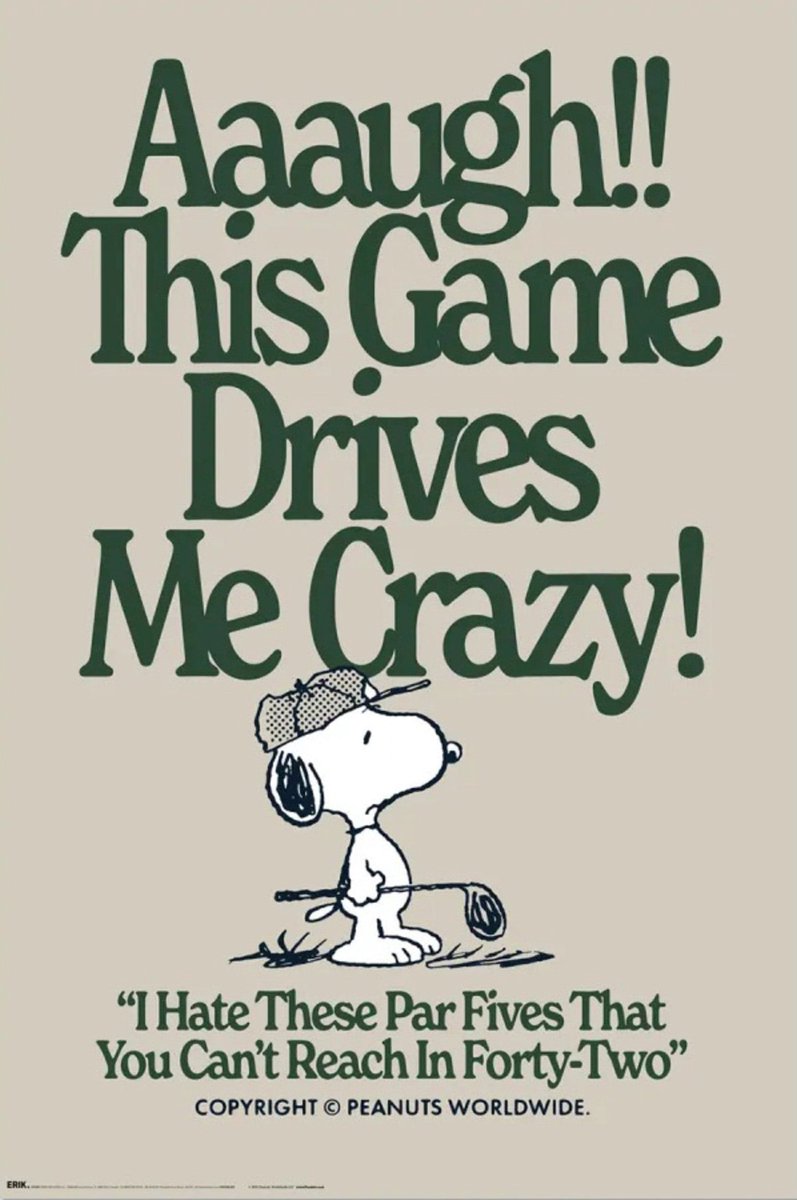Grupo Erik Poster Snoopy - This Games Drives Me Crazy 61x91,5cm Divers