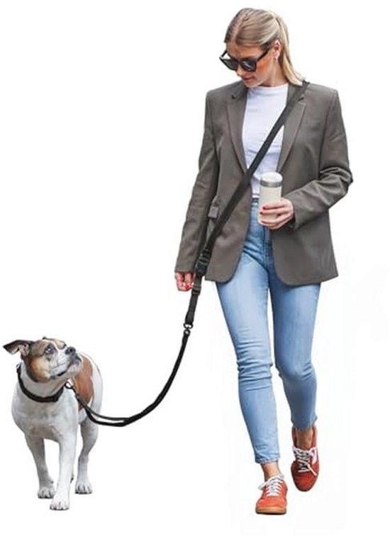 Petsafe Carelift Support Harness