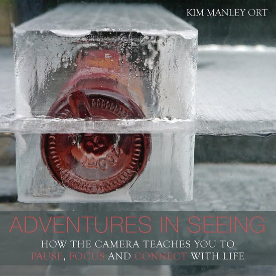 Adventures in Seeing - cover