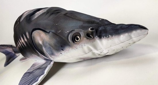 Pluche steur 1,20m - Leuk cadeau voor vissers en kinderen — afbeelding 4