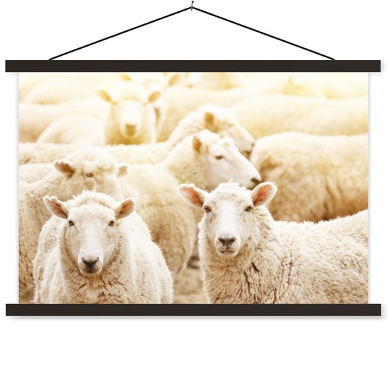 Posterhanger incl. Poster 90x60 cm - Schoolplaat - Schapen - Wol - Wit - Textielposter - Zwarte latten