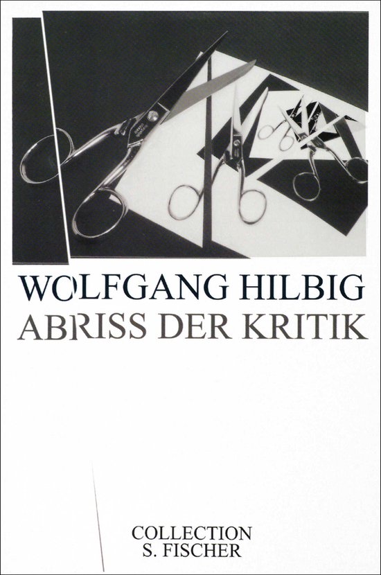 Abriss der Kritik - cover