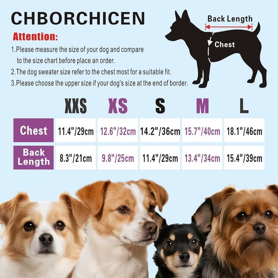 Maattabel voor hondentrui met 'CHBORCHICEN'-logo, met maten XXS tot L.