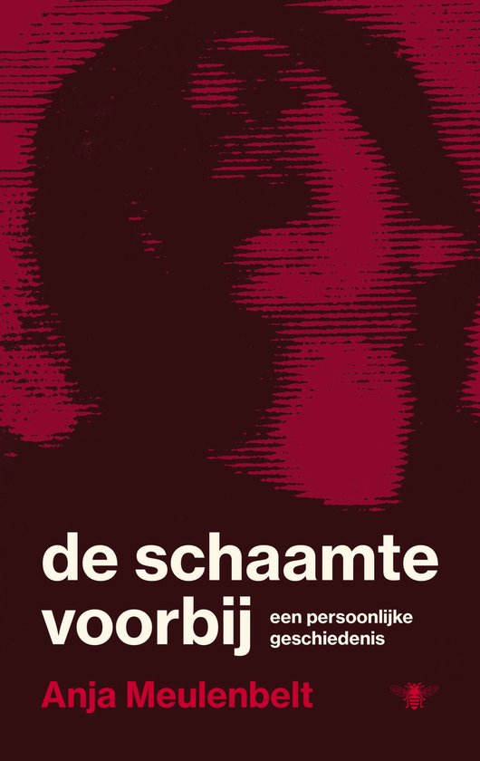 De schaamte voorbij - cover