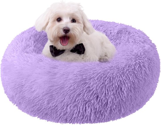 Hond
