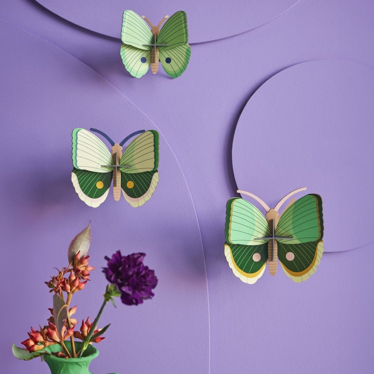 Vlinders, Set/3 - Pauwvlinders
