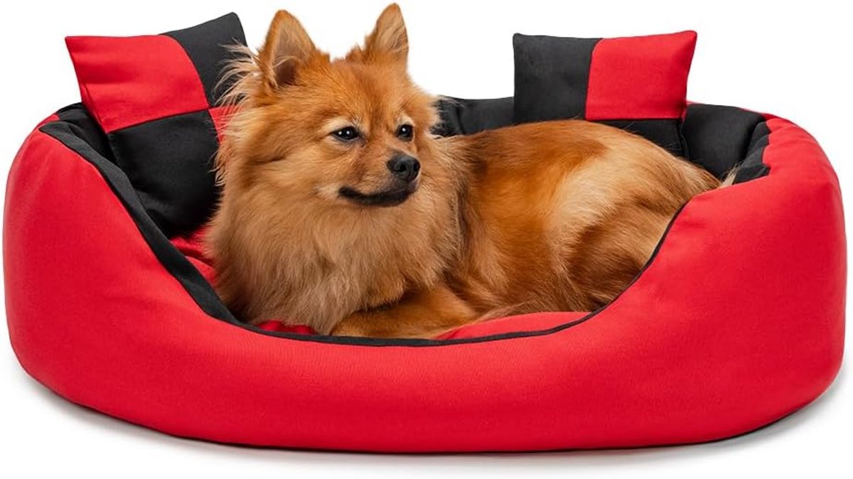 4-in-1 Hondenbed en Kattenmand met Omkeerbaar Kussen en Diepe Instap