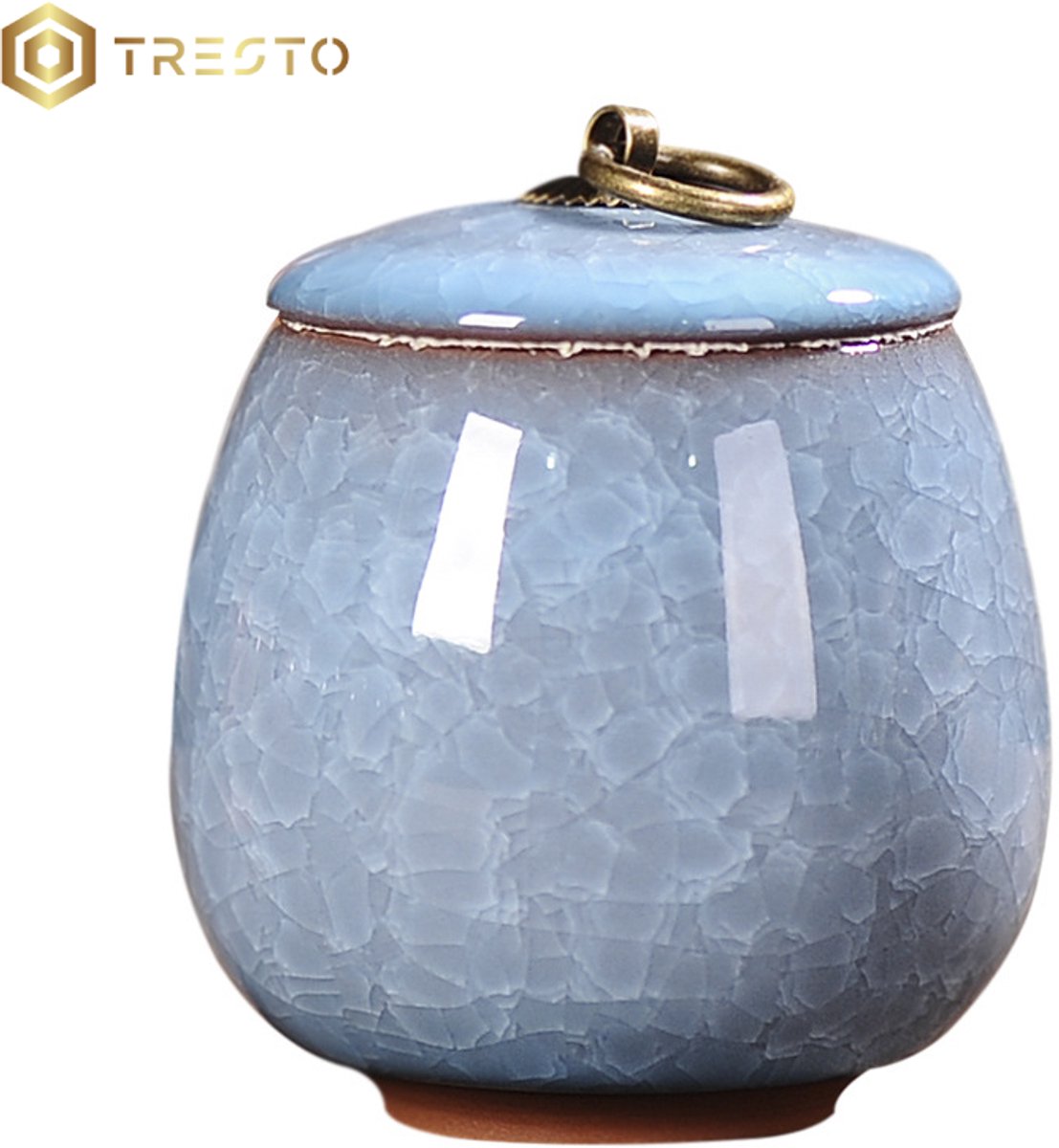 TRESTO - Luxe Urn 170 ML - Crematie Urn - Uniek - Voor Huisdieren of Menselijk As - Crematie As - Mini Urn - Decoratie Urn - HEMELBLAUW