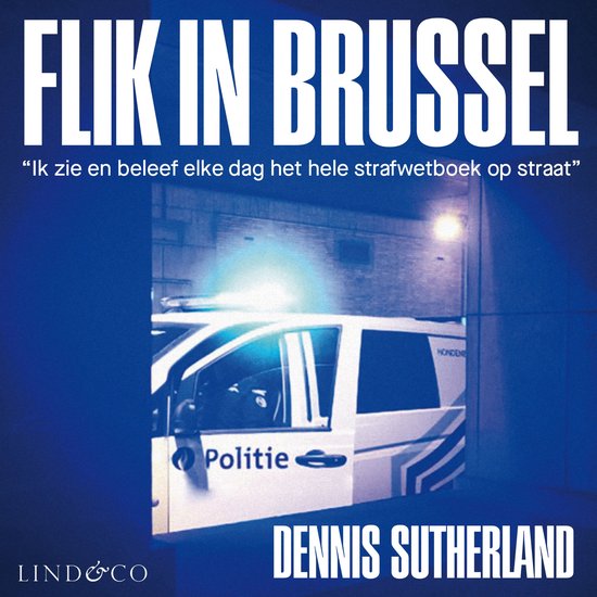 Flik in Brussel - cover