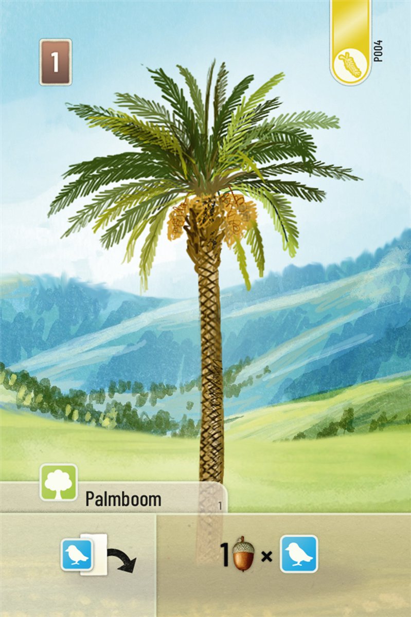 Spel - Kaartspel - Forest Shuffle - Uitbreiding - Exploration - 2 tot 5 spelers - 10+ — cadeau in Spellen & Speelgoed - foto 3
