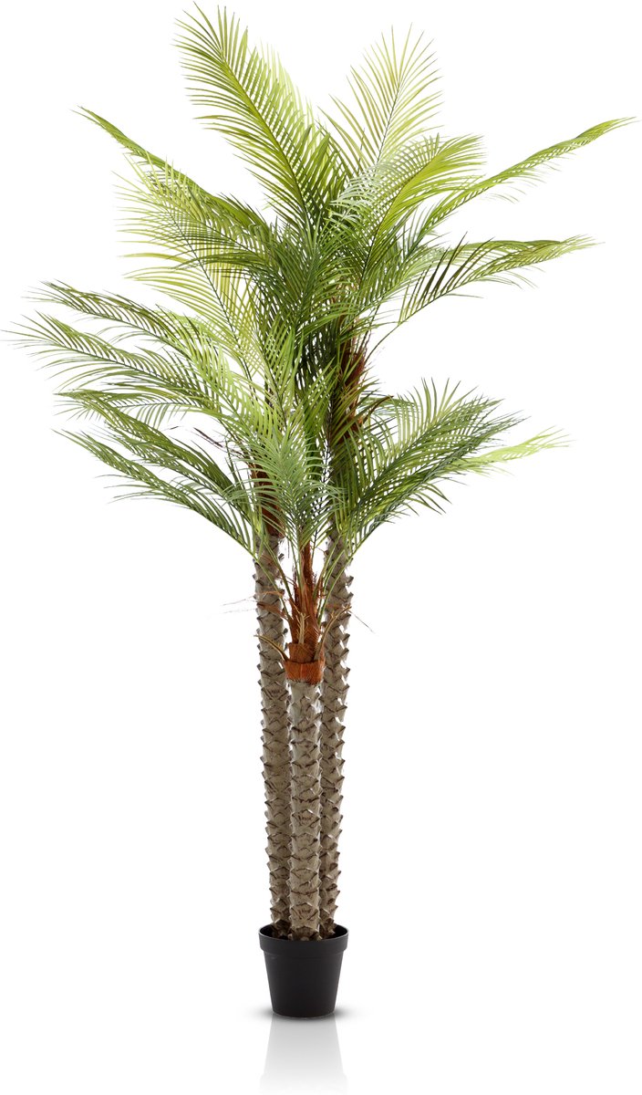 Meisterhome Kunstpalm XXL 250 cm – Extra Grote Tropische Kunstplant – 3-delig – Realistisch, Vol & Onderhoudsvrij - voor Binnen