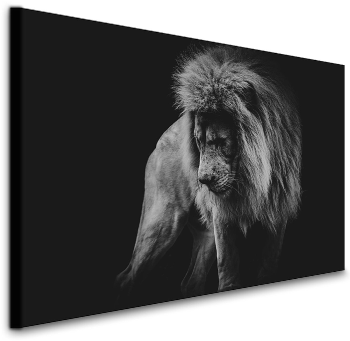 karo-art Schilderij - Machtige Leeuw, premium print, wanddecoratie, zeer stevig verpakt geleverd , Dieren Multikleur