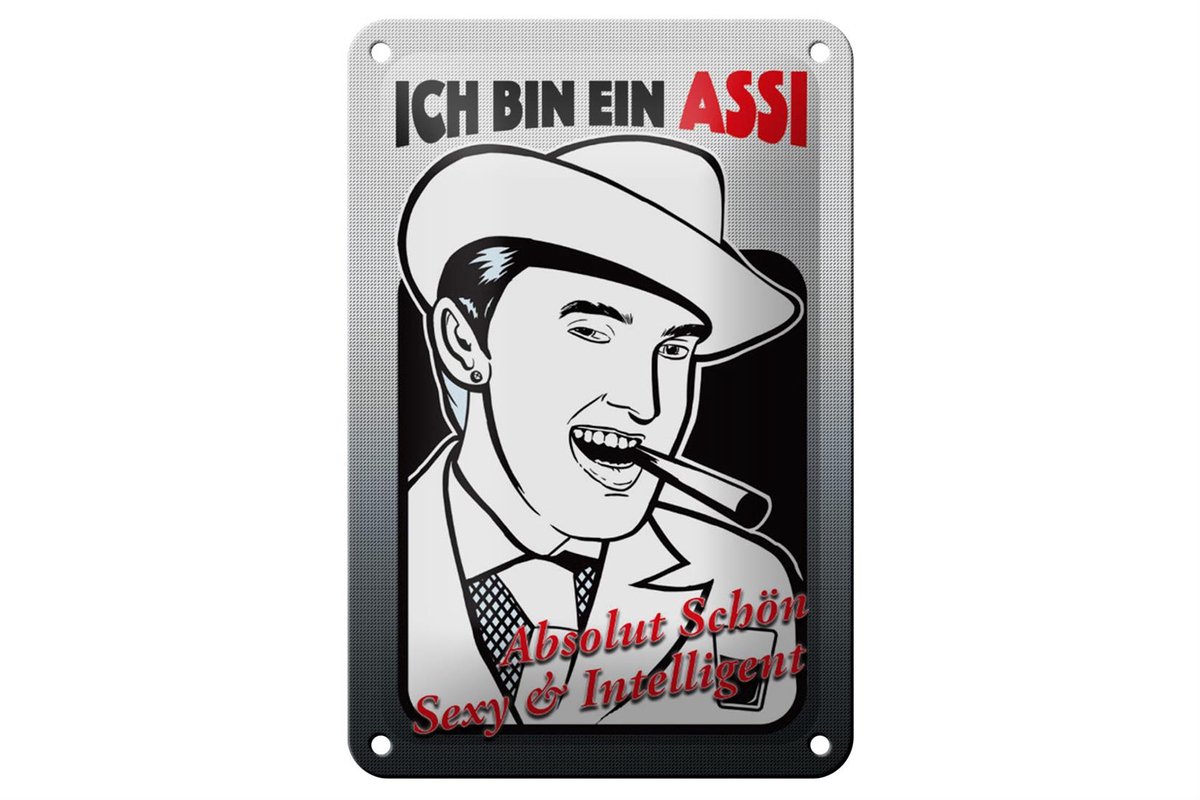 Blechschild Spruch 12x18cm ich bin ASSI schön intelligent
