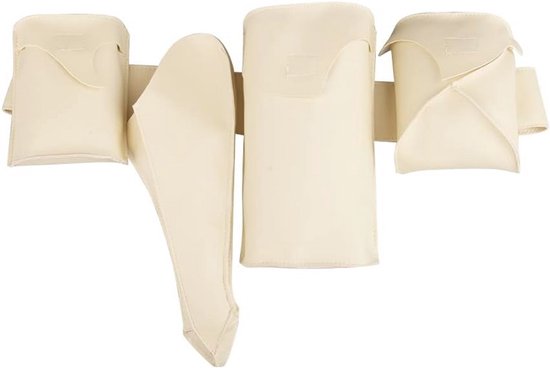 Koningin Padme Amidala Kostuum Accessoires Riem voor Cosplay en Halloween