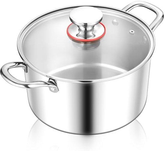 Joyfair RVS Inductiekookpot met Glazen Deksel (22 cm