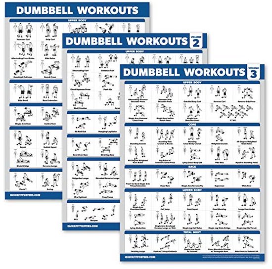 Drie gelamineerde 'Dumbbell Workouts' posters, volume 1, 2 en 3, elk met illustraties van oefeningen.