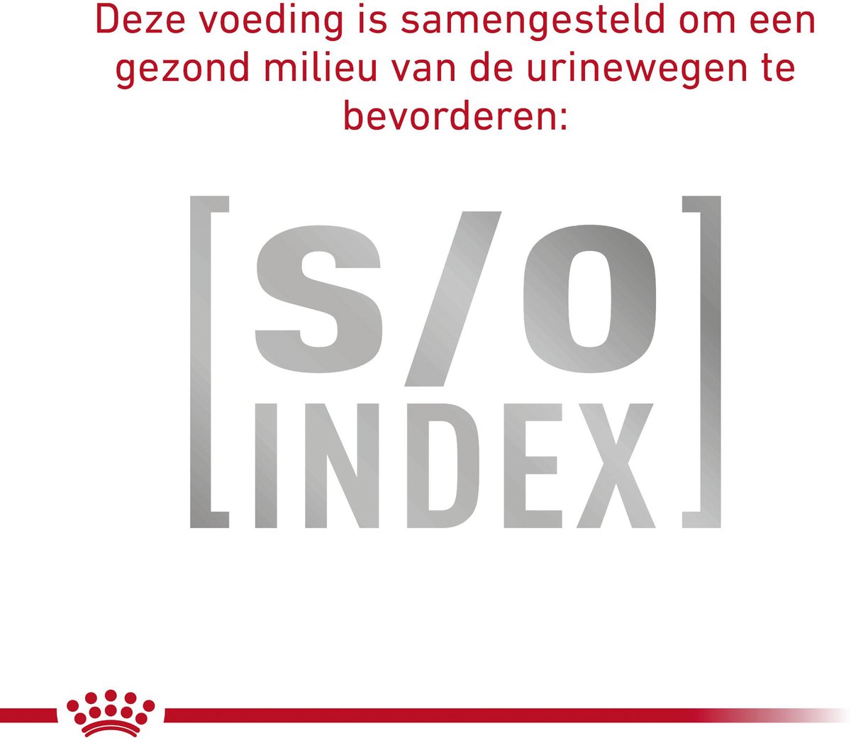 Royal Canin Gastro Intestinal - Kattenvoer Brokjes thumbnail 4