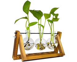 Hydrocultuur Plantenstation met Houten Standaard en 3 Glazen Vazen