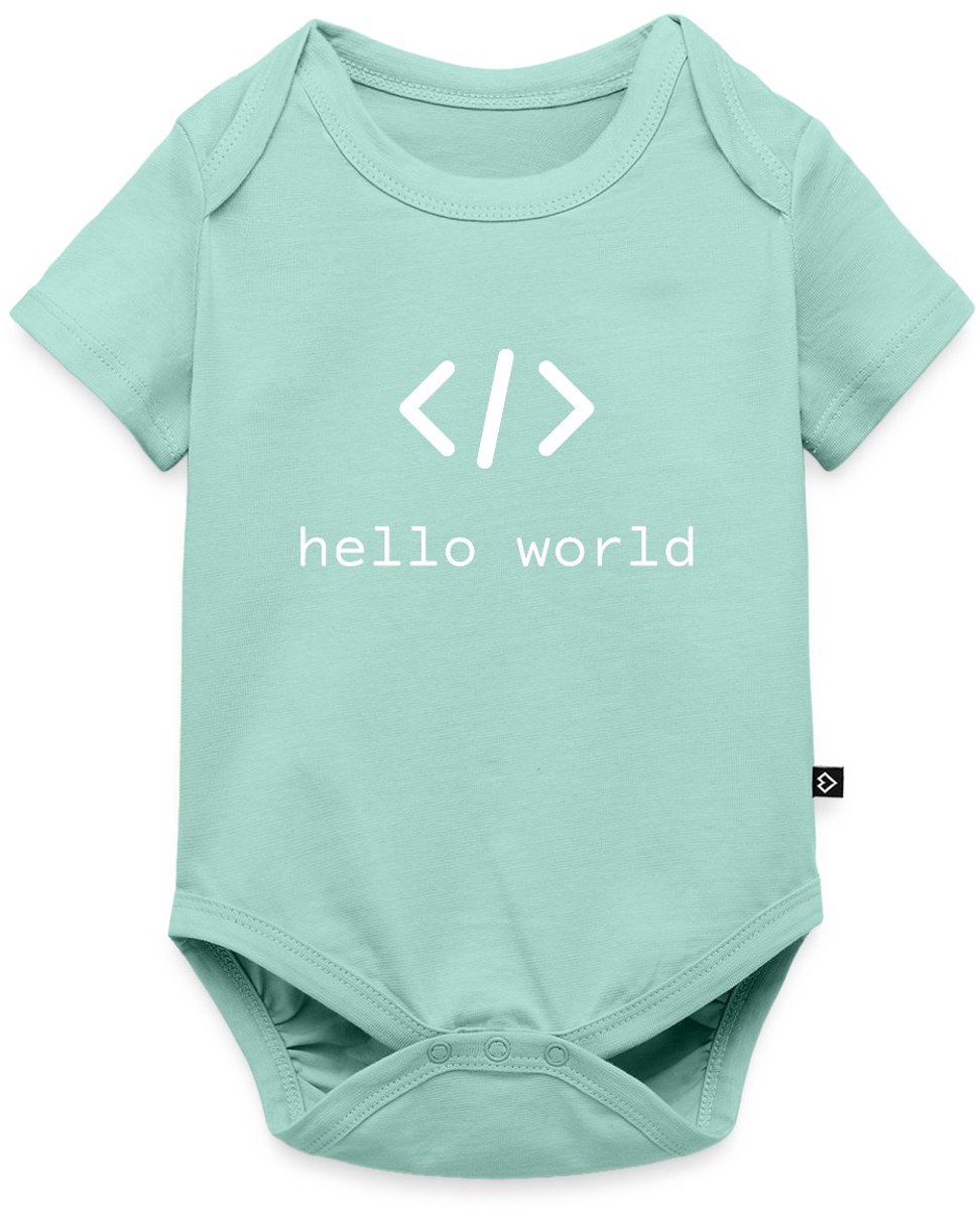 Hello World Programmeurs Baby Rompertje Met Korte Mouwen