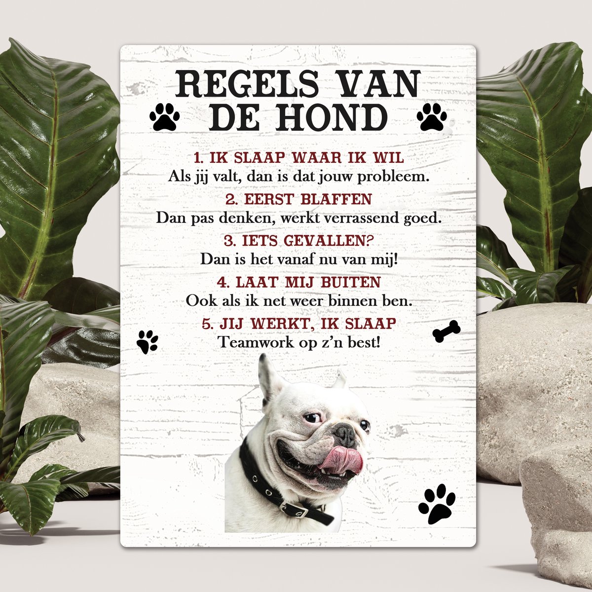 Spreuken - Bulldog - Regels Van De Hond - Spreuken Bordjes - Spreukenbord - Tekstborden - Cadeau - Hondenras