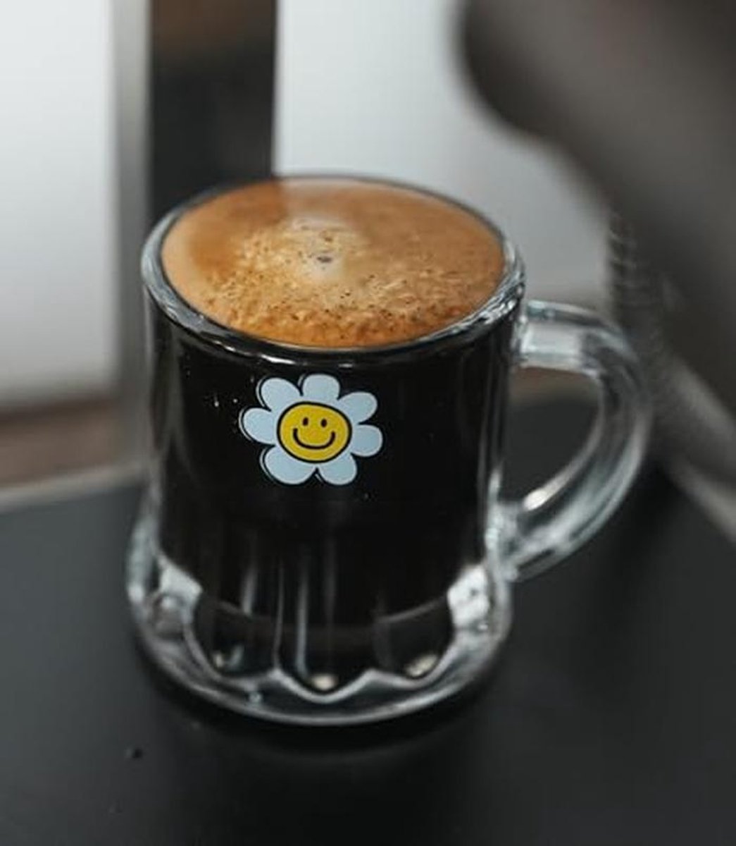 Set van 6 stijlvolle dubbele wand espresso glazen met handvat