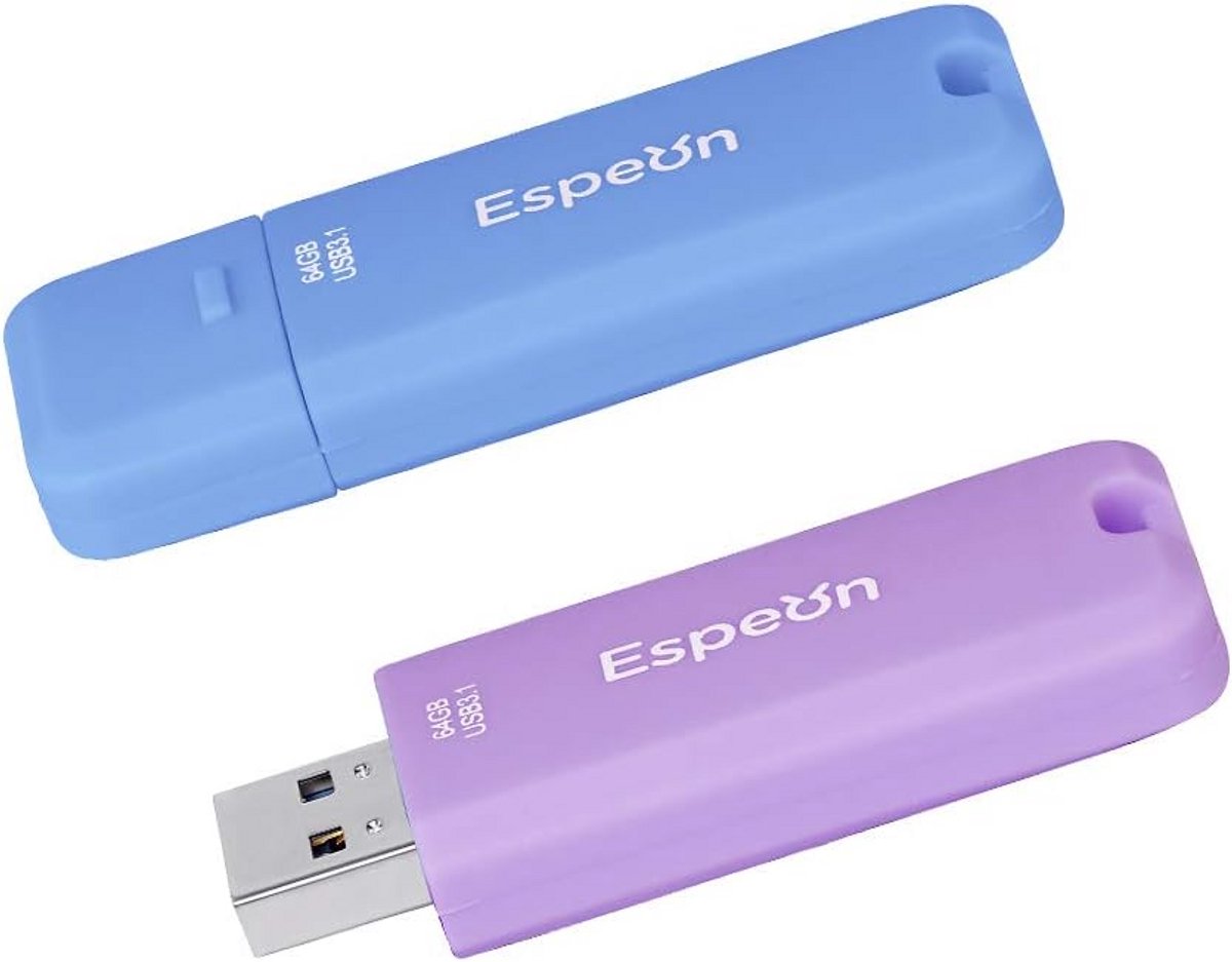 64 GB USB 3.1 Flash Drive - 2-Pack in Macaroon Kleuren