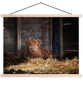 Porte-affiche avec affiche - Affiche scolaire - Highlander écossais - Ferme - Paille - 150x113 cm - Lattes noires