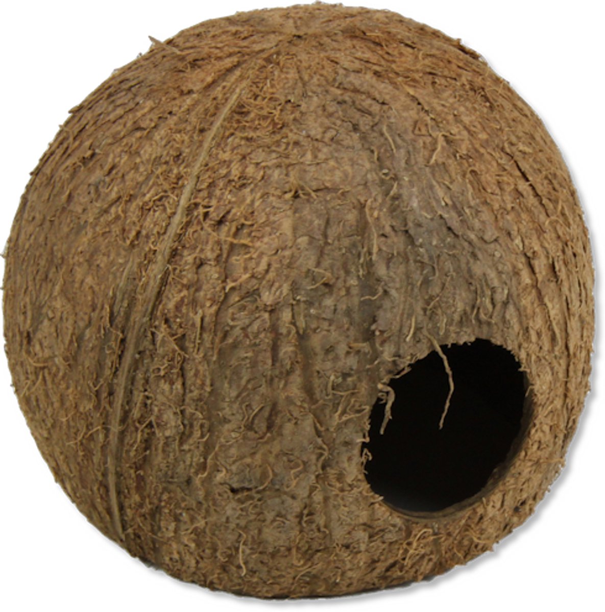JBL Cocos Cava L natuurlijke kokosnoot schuilplaats voor aquarium en terrariumdieren 3/4