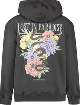 Colourful Rebel 11228 - Sweaters voor Vrouwen - Maat M