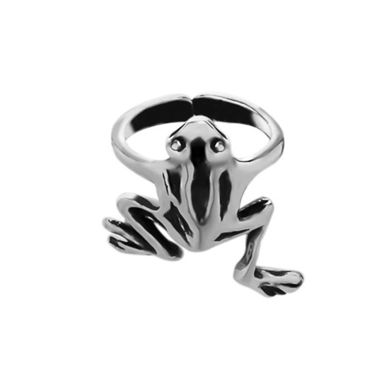Zilverkleurige ring in de vorm van een kikker met zichtbare poten en details.