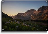 Walljar - Logan Pass - Muurdecoratie - Plexiglas schilderij