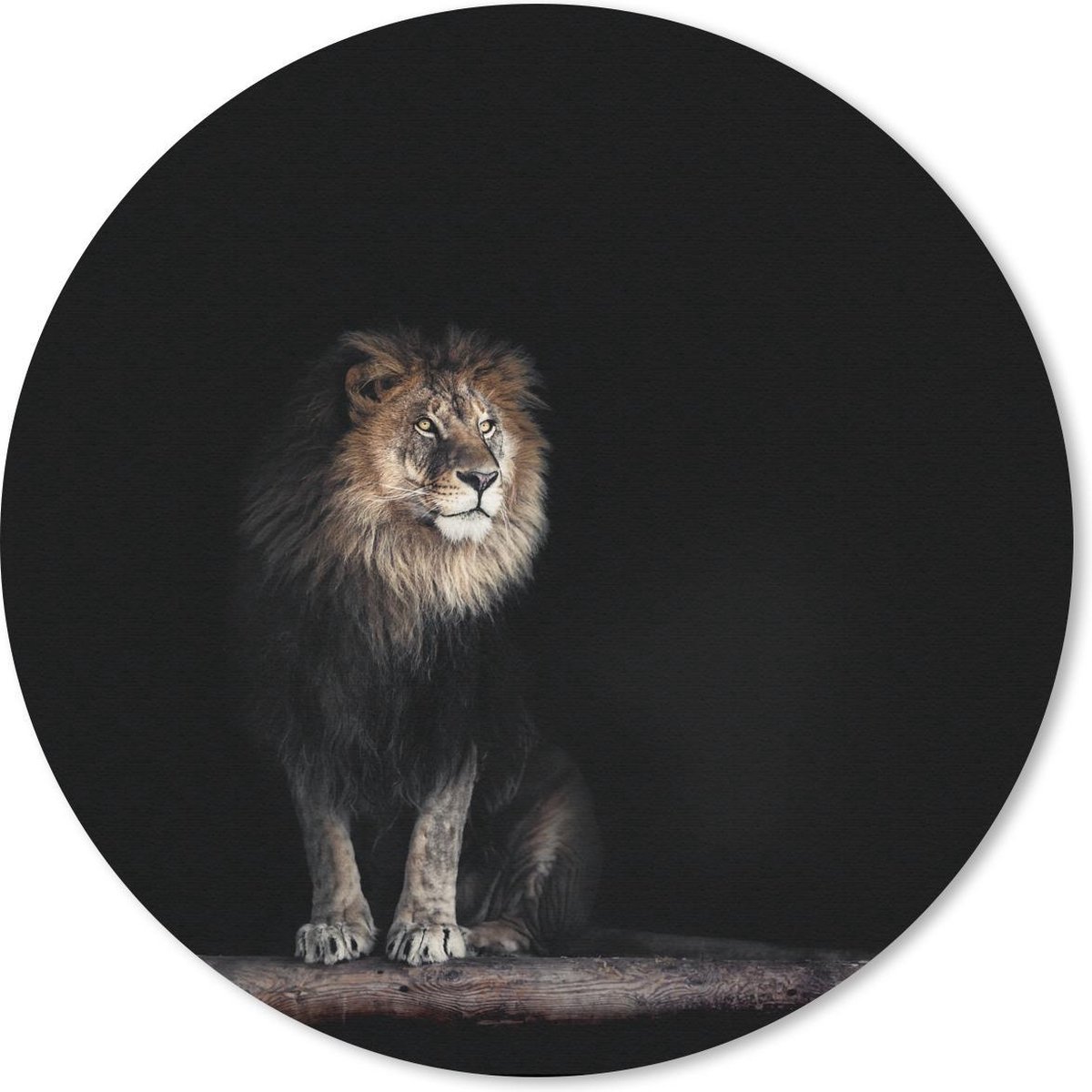 Muismat rond 50x50 cm - Mousepad Leeuw - Licht - Portret - Ronde muismatten