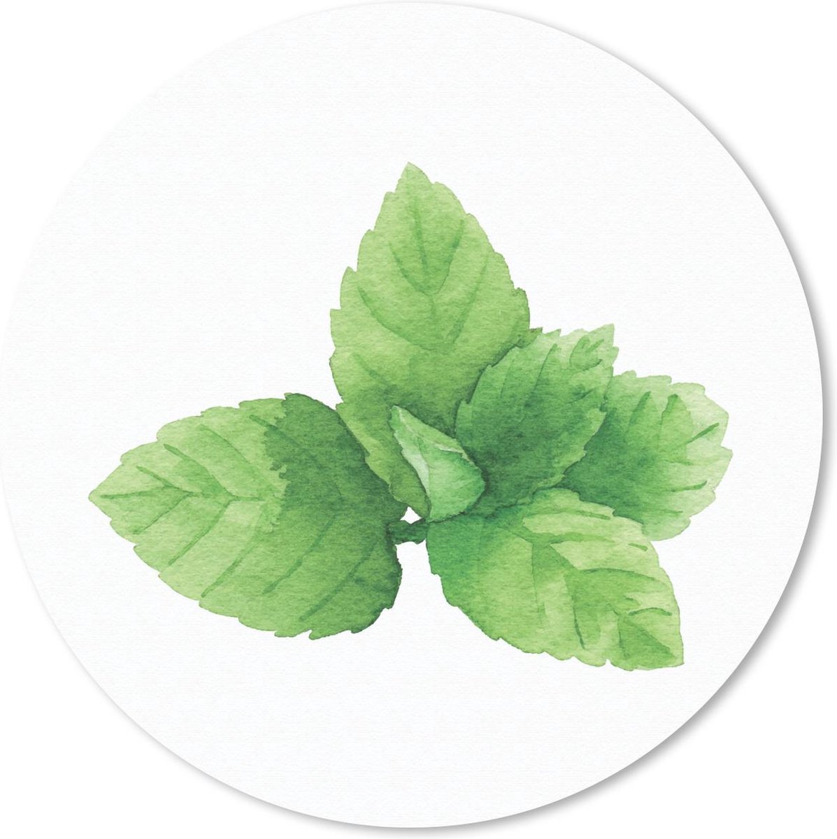Muismat rond 50x50 cm - Mousepad Aquarel - Munt - Plant - Ronde muismatten