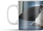 Mok - Kitten - Kat - Cute - 350 ml - Beker