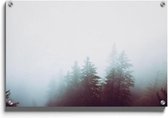 Walljar - Foggy Woods - Muurdecoratie - Plexiglas schilderij