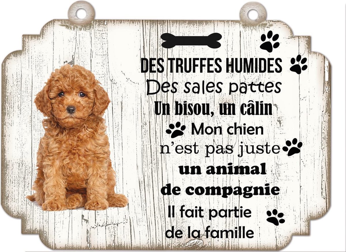 Tableau Déco - Caniche