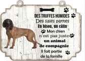 Tableau Déco - Bavière Montagne Chien