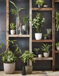 Product afbeelding  9