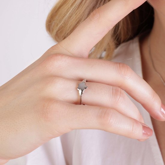Zilveren driedelige ring | -NL