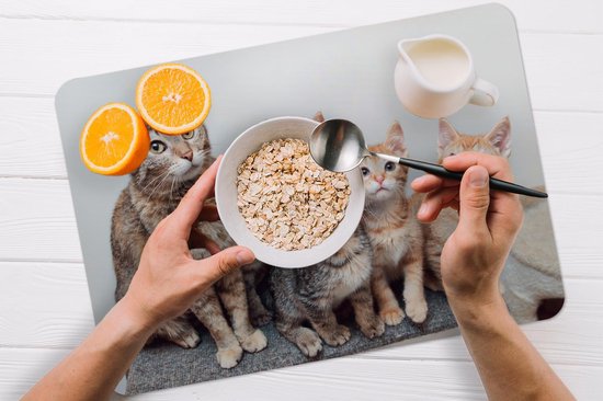 Placemat - Placemats kunststof - Kat - Kittens - Vacht - 45x30 cm - 6 stuks - Hittebestendig - Anti-Slip - Onderlegger - Afneembaar