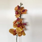 BOEKET MET NATUURLIJKE TOUCH ORQUIDEA 96 CM