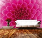 Dimex Pink Dahlia Vlies Fotobehang 375x250cm 5-banen