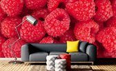 Dimex Raspberry Vlies Fotobehang 375x250cm 5-banen