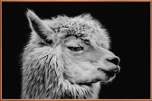 JUNIQE - Poster met kunststof lijst Llama II -40x60 /Wit & Zwart