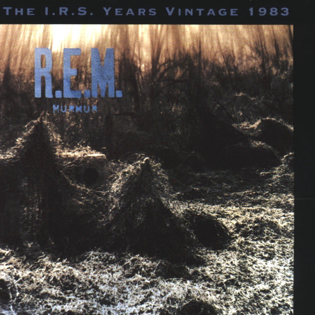 Murmur-The I R's Years Vintag
