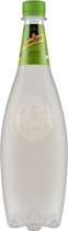 Verfrissend drankje Schweppes Citroen (1 L)